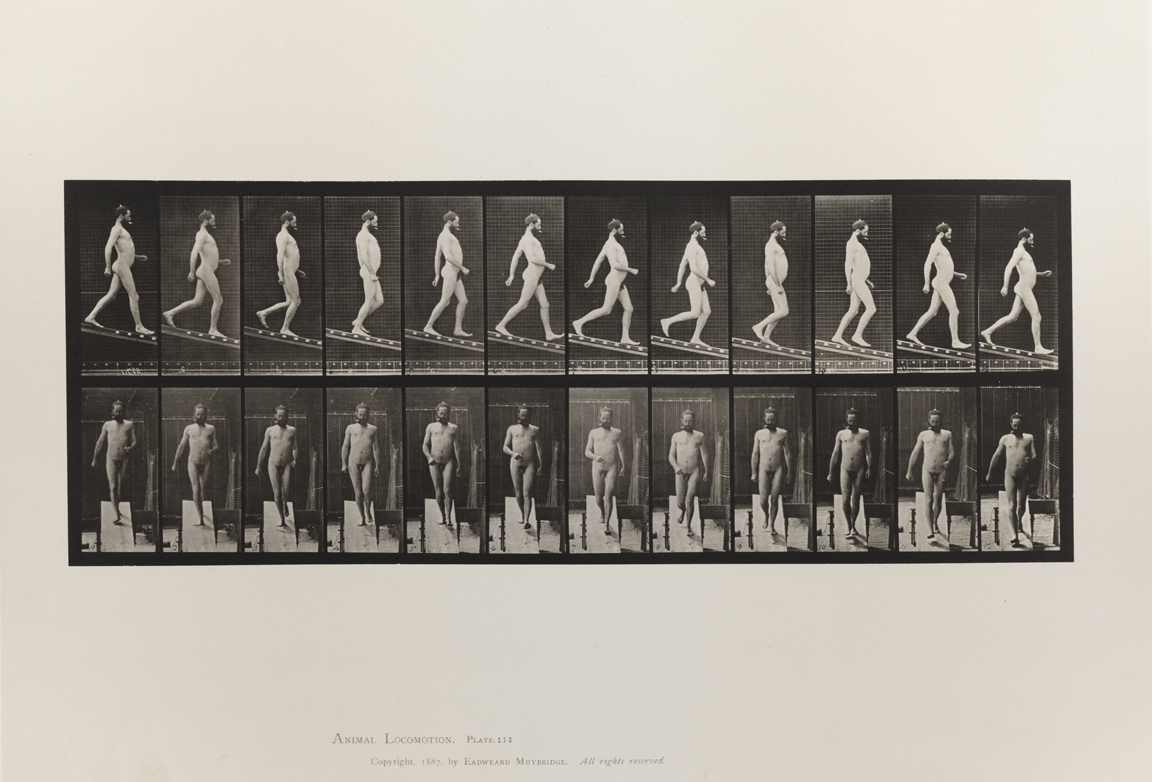 Animal Locomotion, Volume I Men (Nude). Plate 113