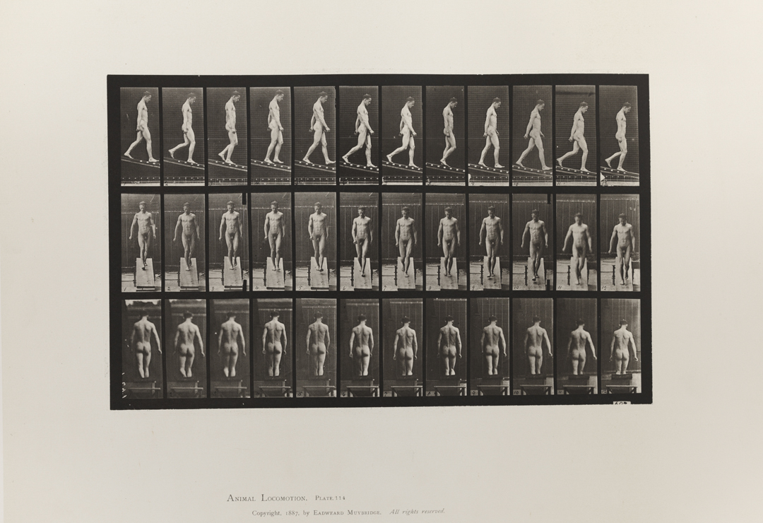 Animal Locomotion, Volume I Men (Nude). Plate 114