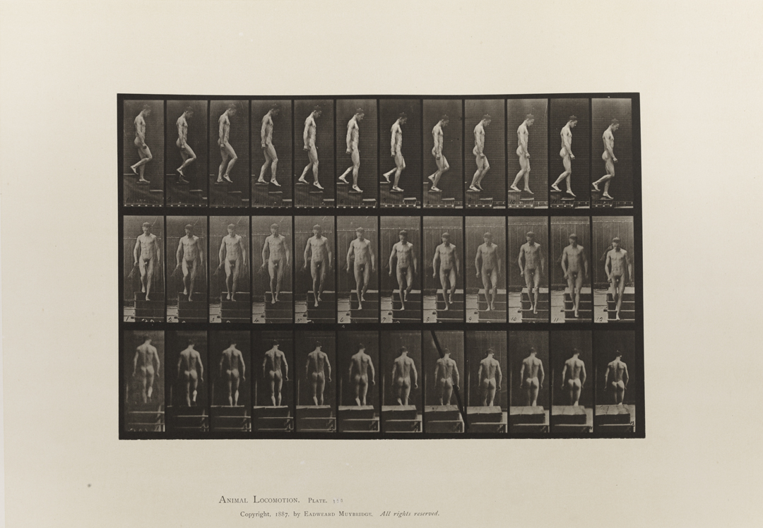 Animal Locomotion, Volume I Men (Nude). Plate 125