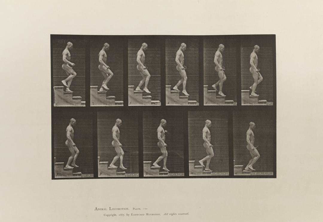 Animal Locomotion, Volume I Men (Nude). Plate 126