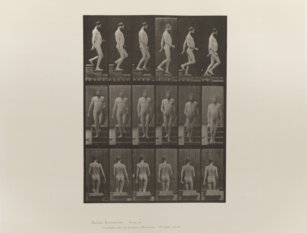 Animal Locomotion, Volume I Men (Nude). Plate 127