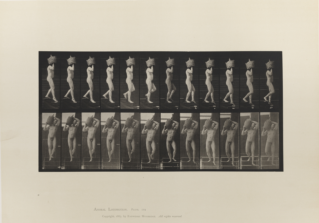 Animal Locomotion, Volume I Men (Nude). Plate 136