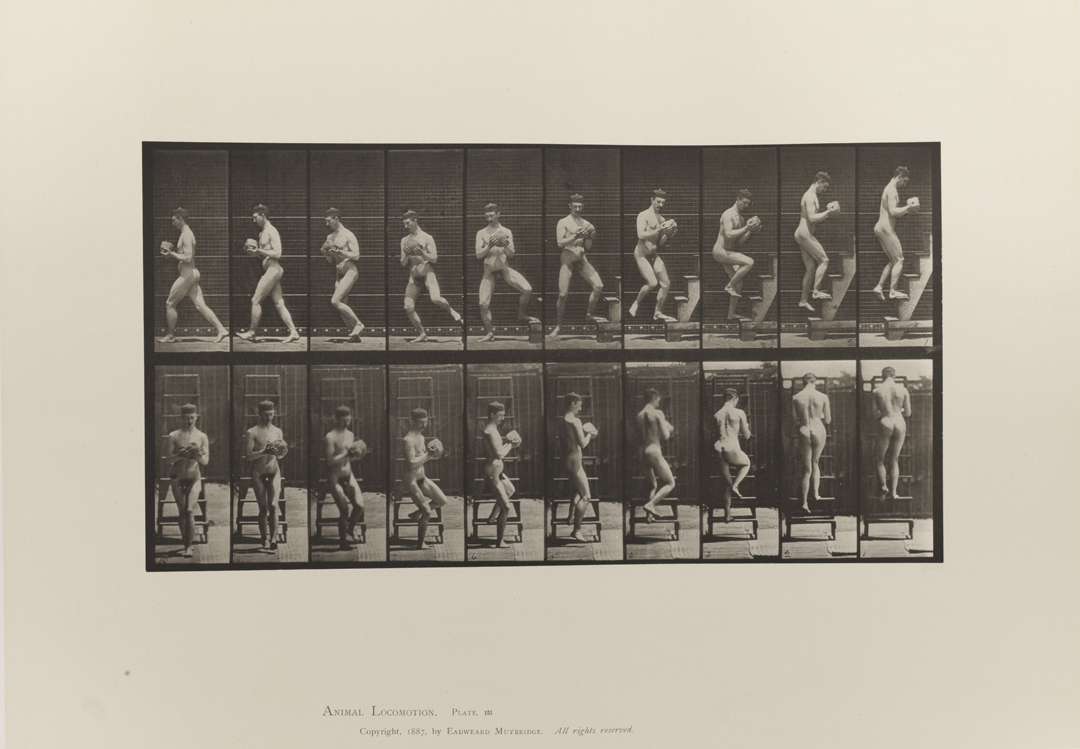Animal Locomotion, Volume I Men (Nude). Plate 151