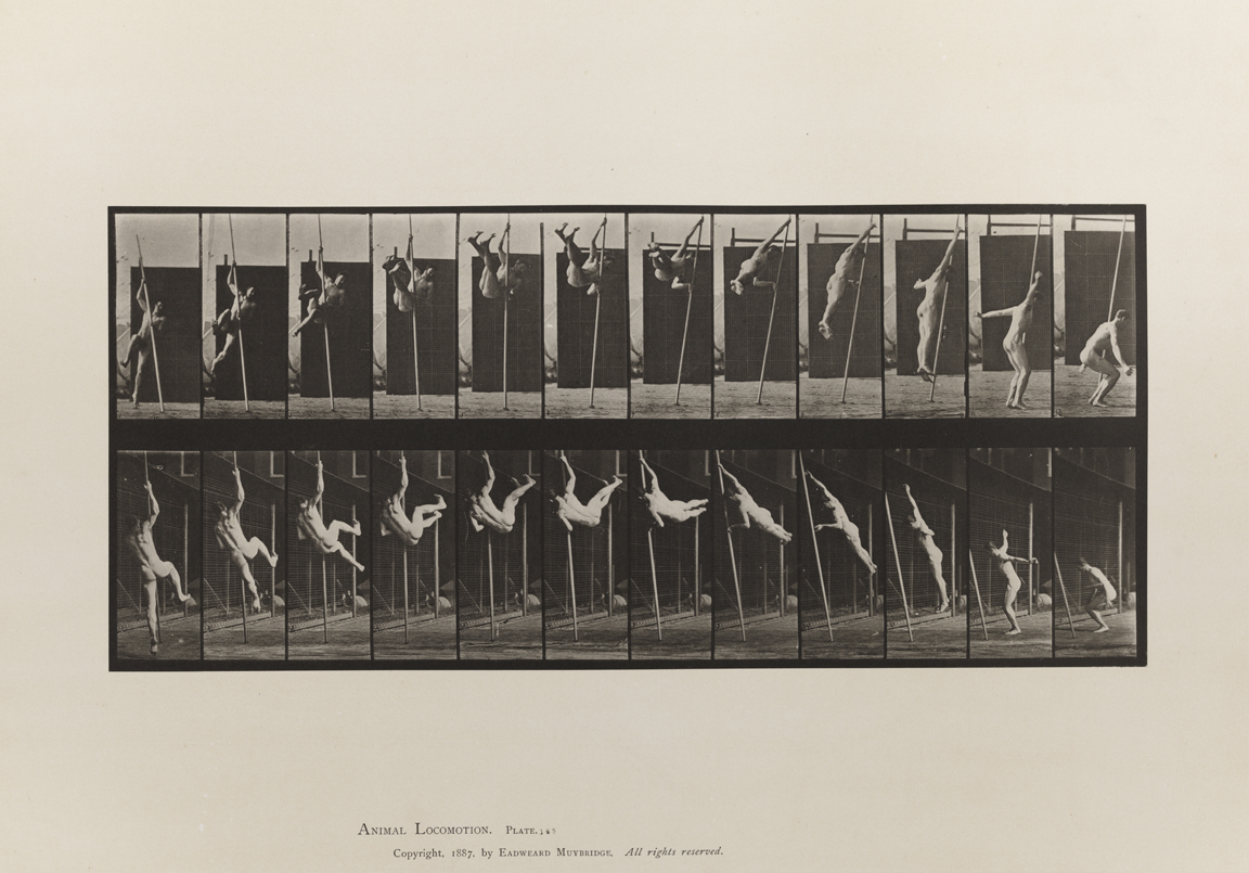 Animal Locomotion, Volume I Men (Nude). Plate 165