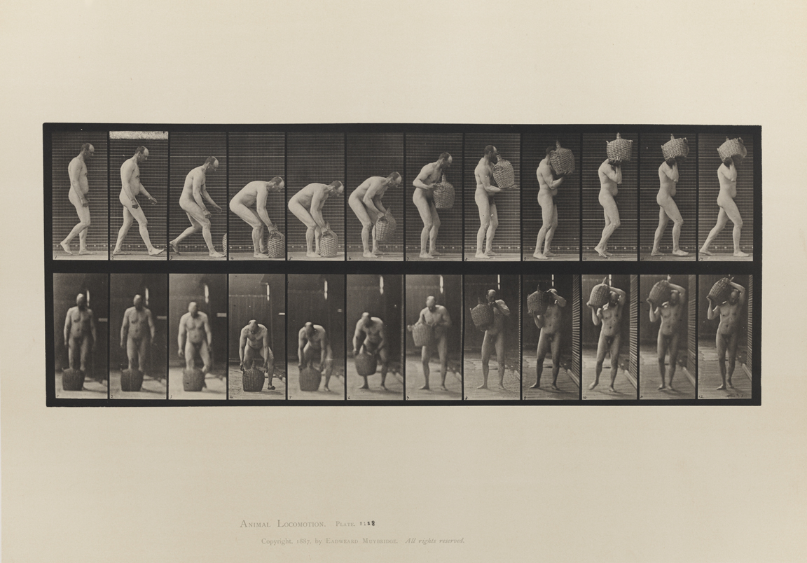 Animal Locomotion, Volume I Men (Nude). Plate 218