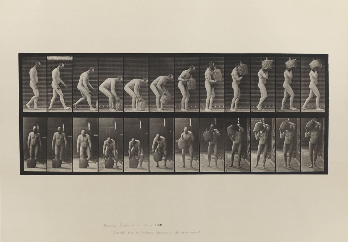 Animal Locomotion, Volume I Men (Nude). Plate 218