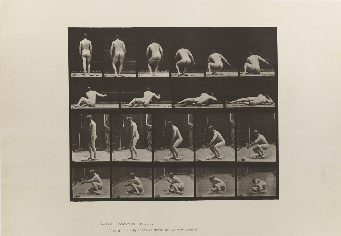 Animal Locomotion, Volume I Men (Nude). Plate 257