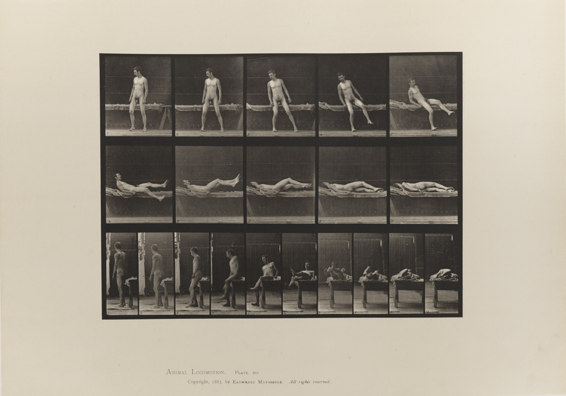 Animal Locomotion, Volume I Men (Nude). Plate 259