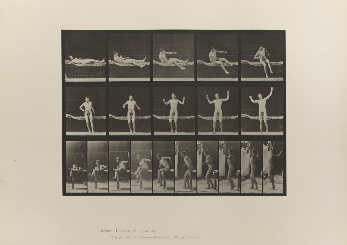 Animal Locomotion, Volume I Men (Nude). Plate 260