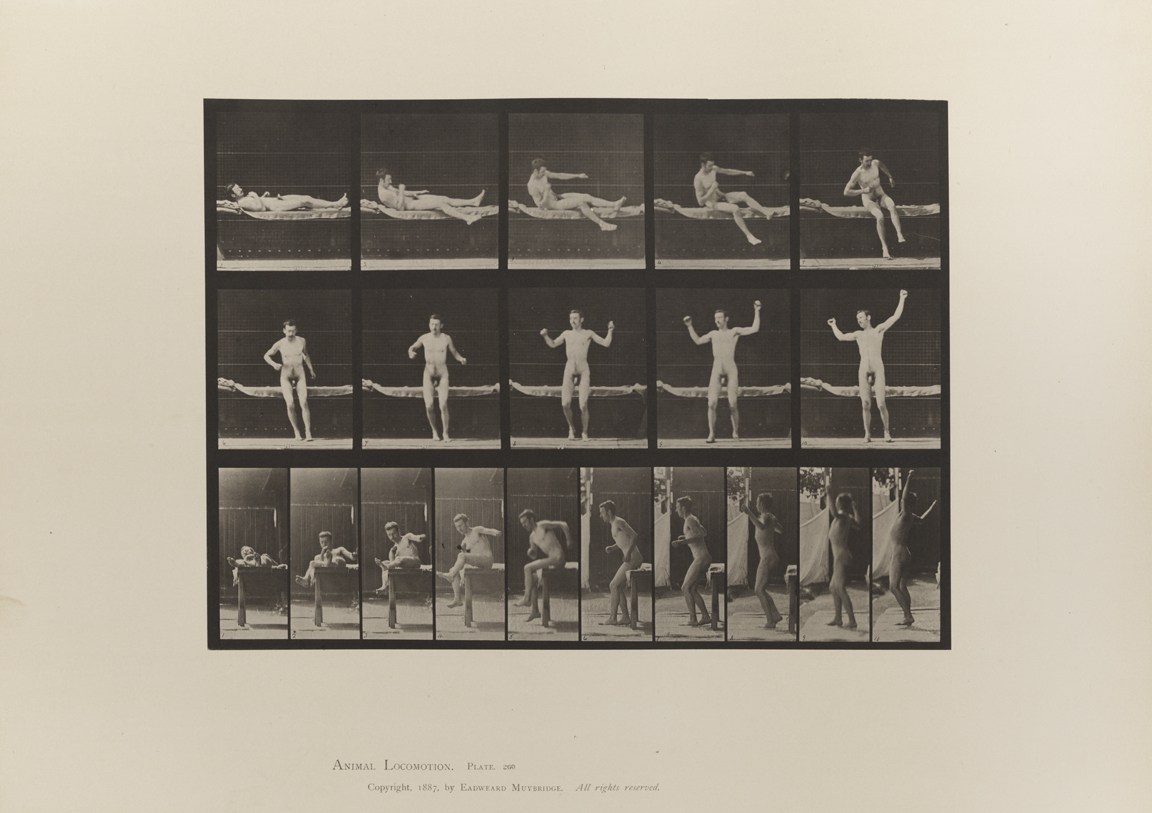 Animal Locomotion, Volume I Men (Nude). Plate 260
