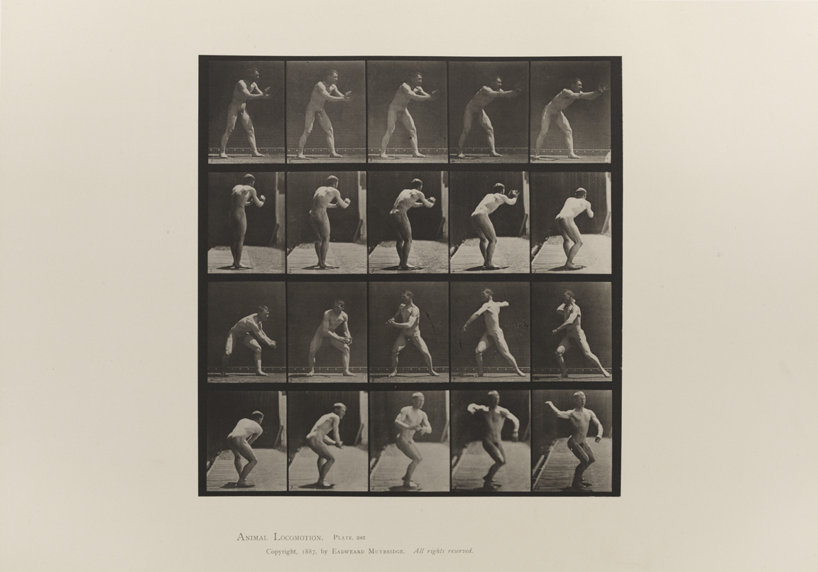 Animal Locomotion, Volume I Men (Nude). Plate 282
