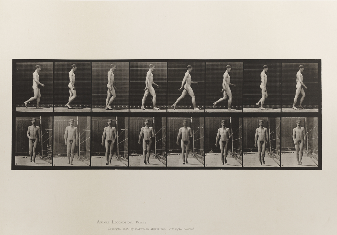 Animal Locomotion, Volume I Men (Nude). Plate 4