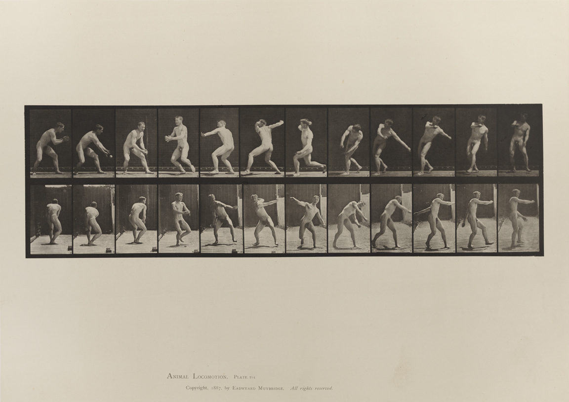 Animal Locomotion, Volume I Men (Nude). Plate 284