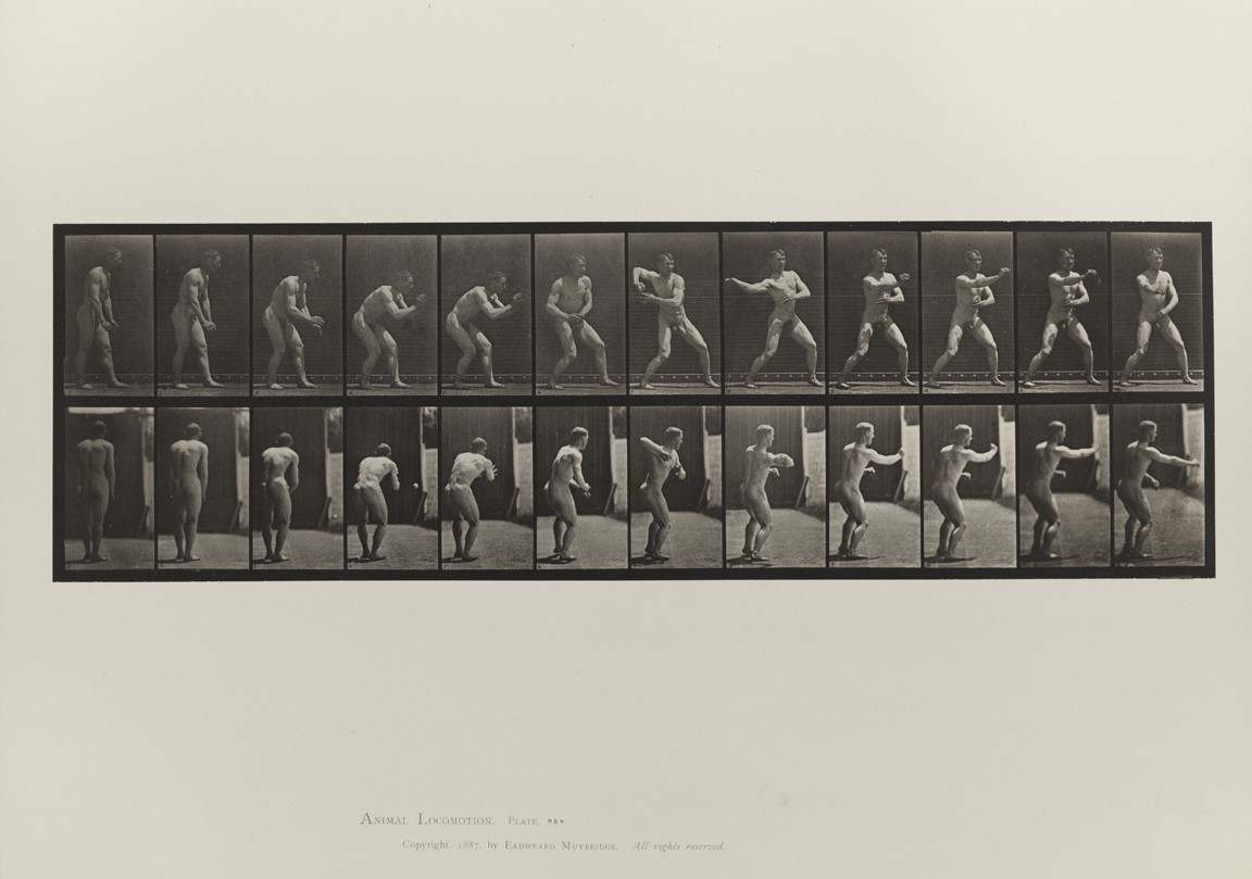 Animal Locomotion, Volume I Men (Nude). Plate 285