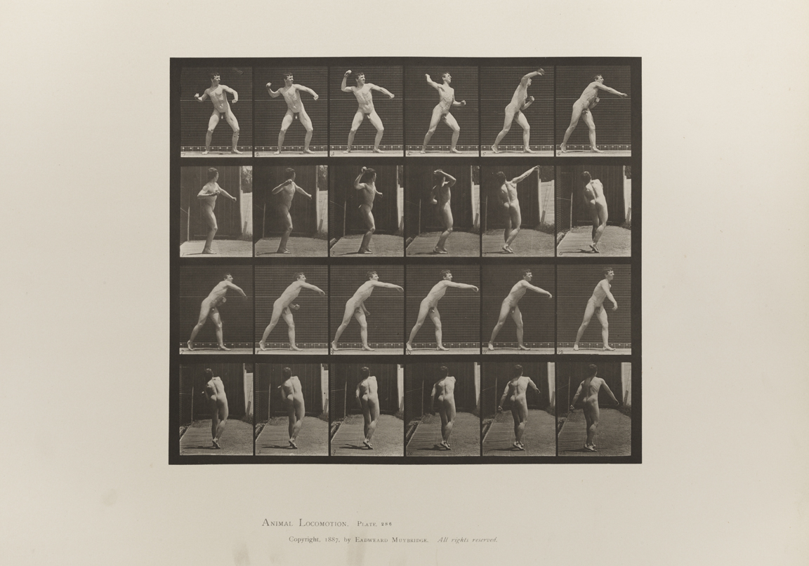 Animal Locomotion, Volume I Men (Nude). Plate 286