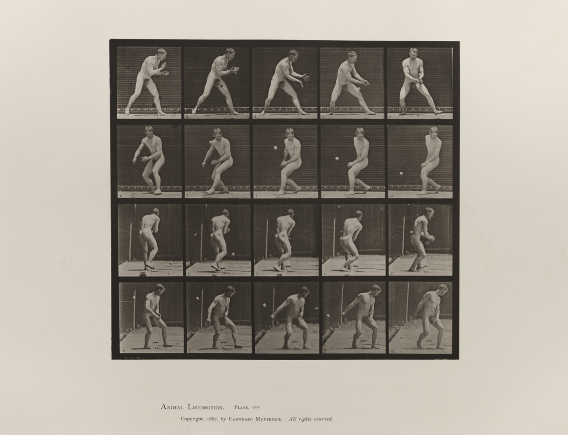 Animal Locomotion, Volume I Men (Nude). Plate 288