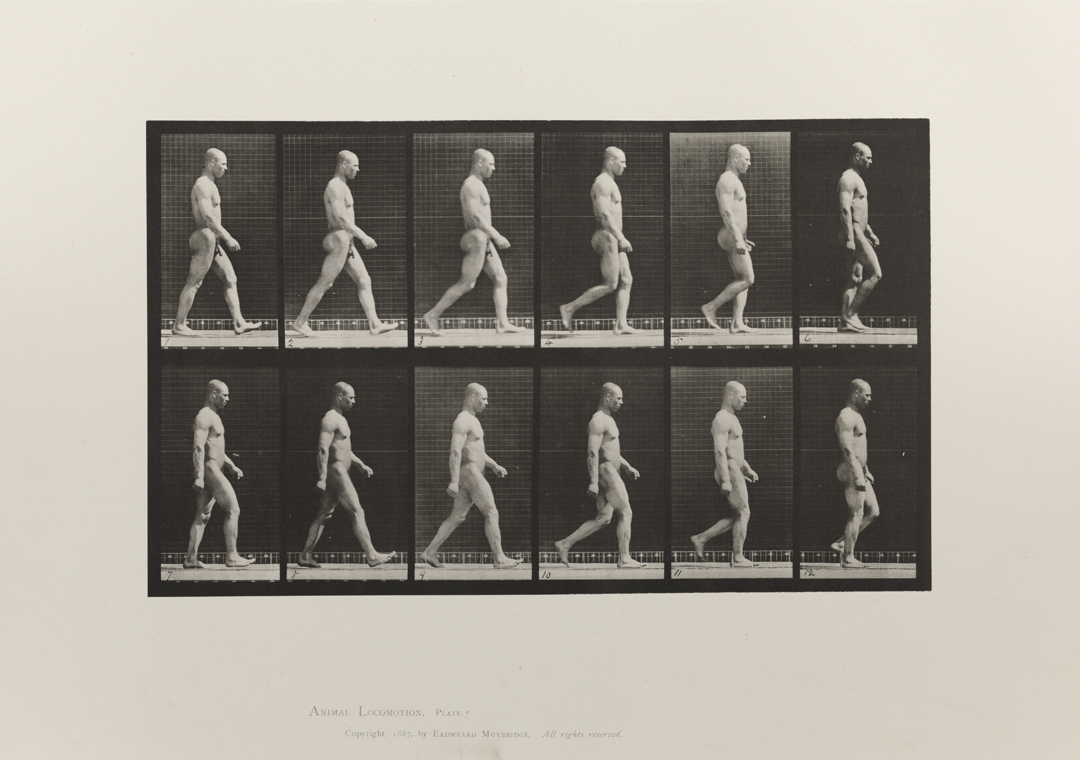 Animal Locomotion, Volume I Men (Nude). Plate 6