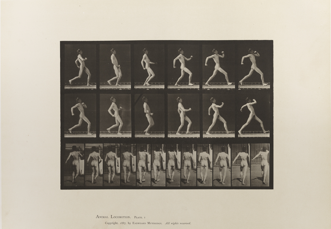 Animal Locomotion, Volume I Men (Nude). Plate 7