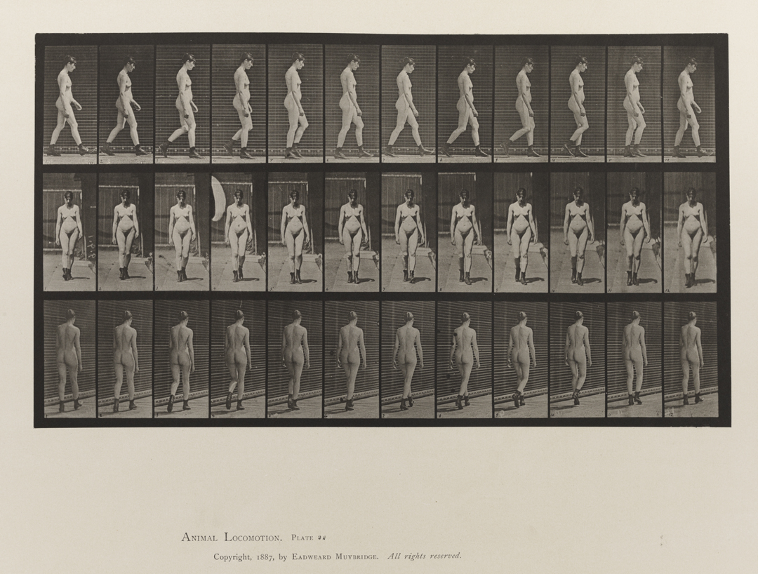 Animal Locomotion, Volume III, Women (Nude). Plate 22