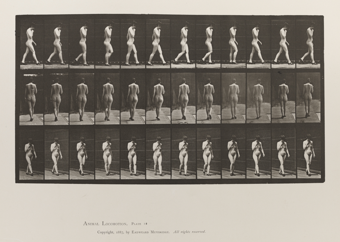 Animal Locomotion, Volume III, Women (Nude). Plate 23