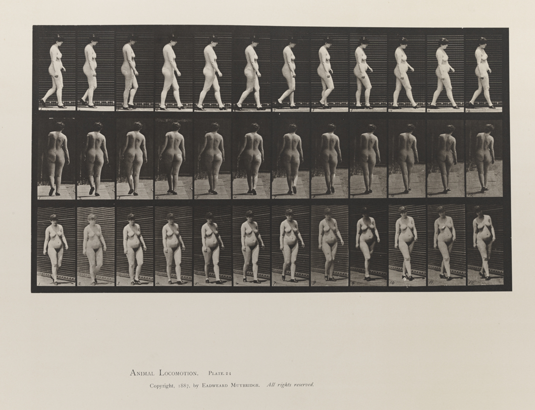 Animal Locomotion, Volume III, Women (Nude). Plate 24