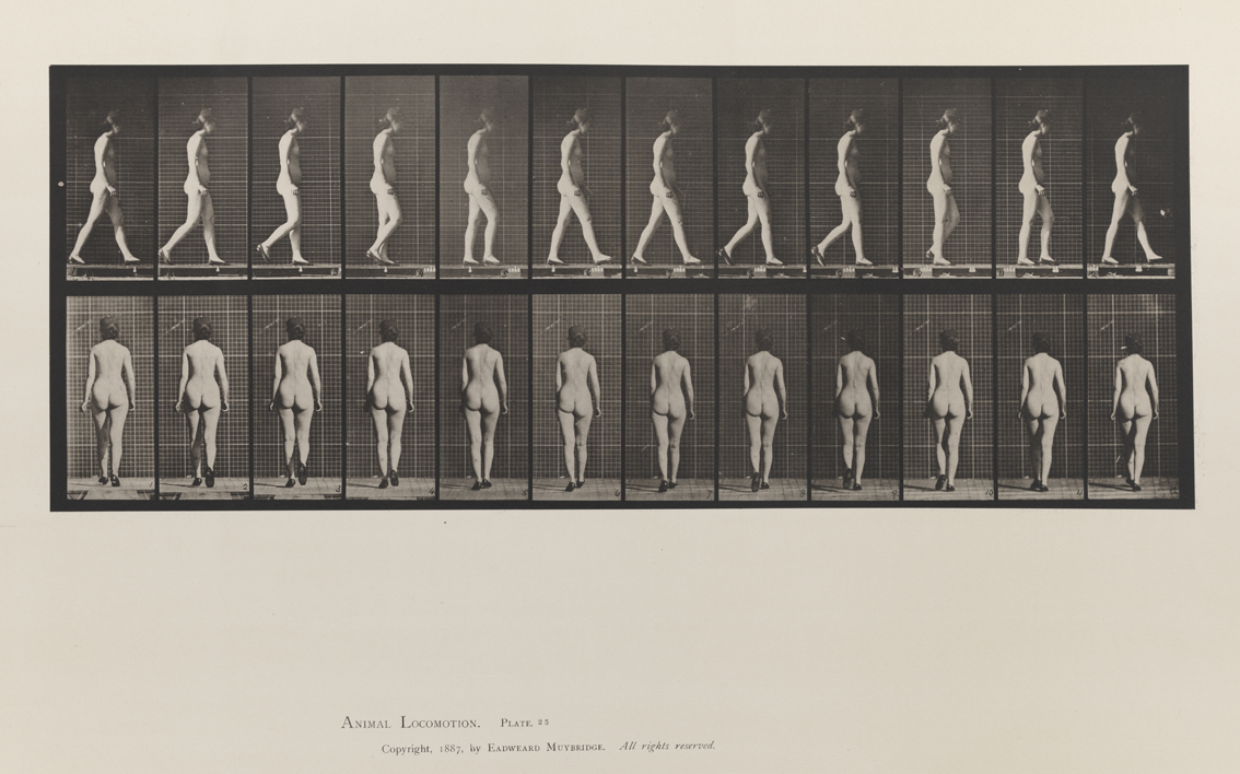 Animal Locomotion, Volume III, Women (Nude). Plate 25