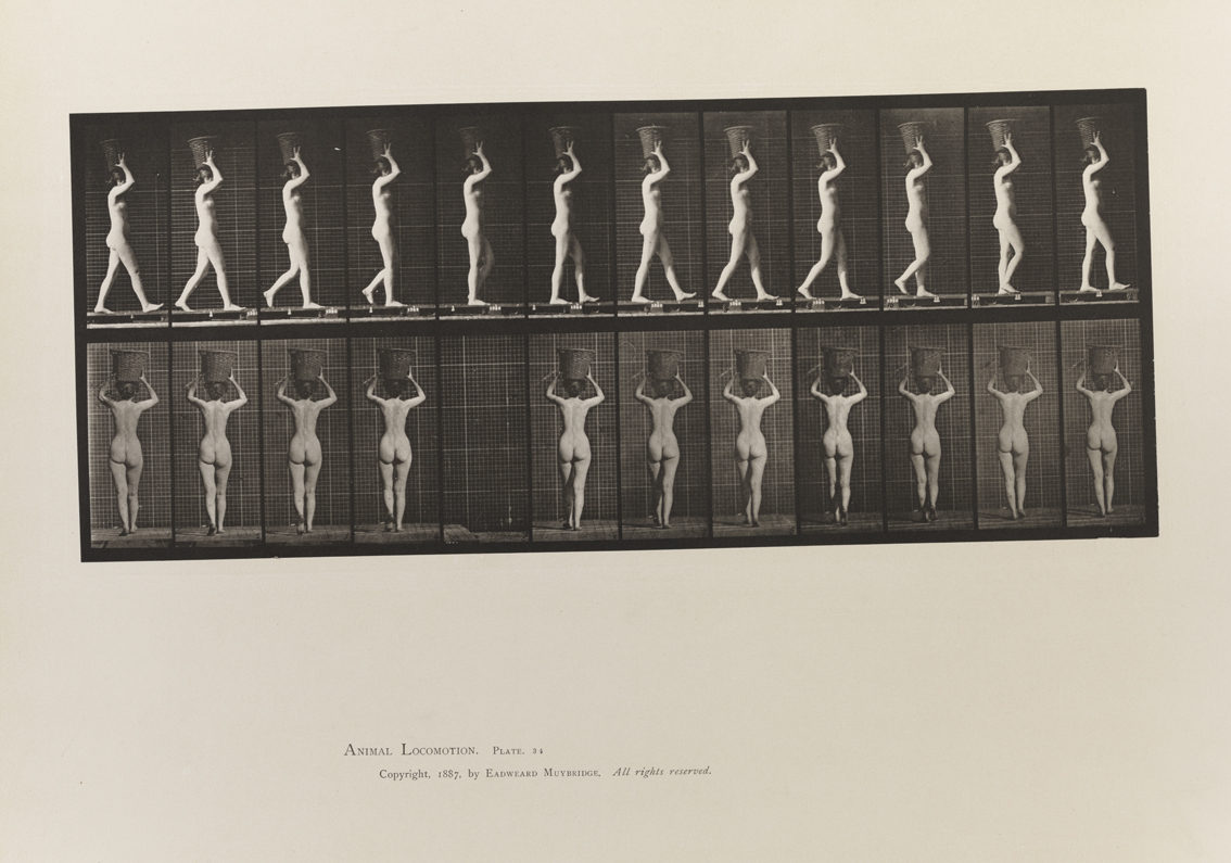 Animal Locomotion, Volume III, Women (Nude). Plate 34