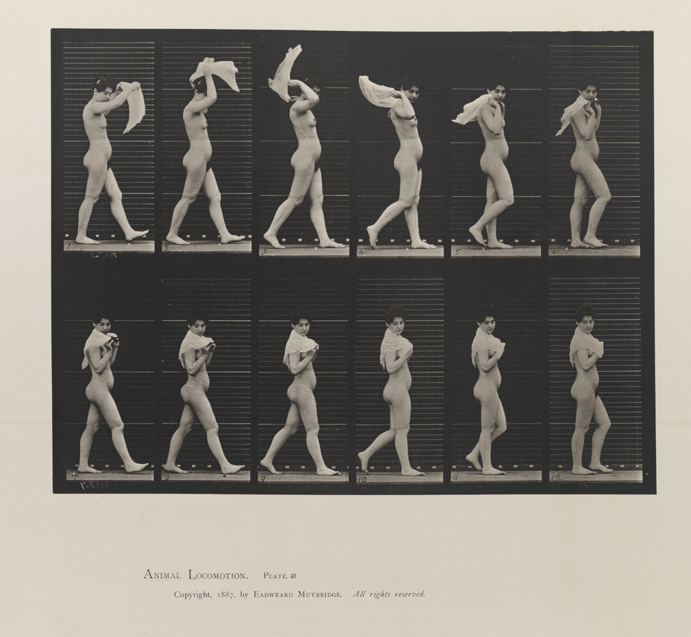 Animal Locomotion, Volume III, Women (Nude). Plate 40