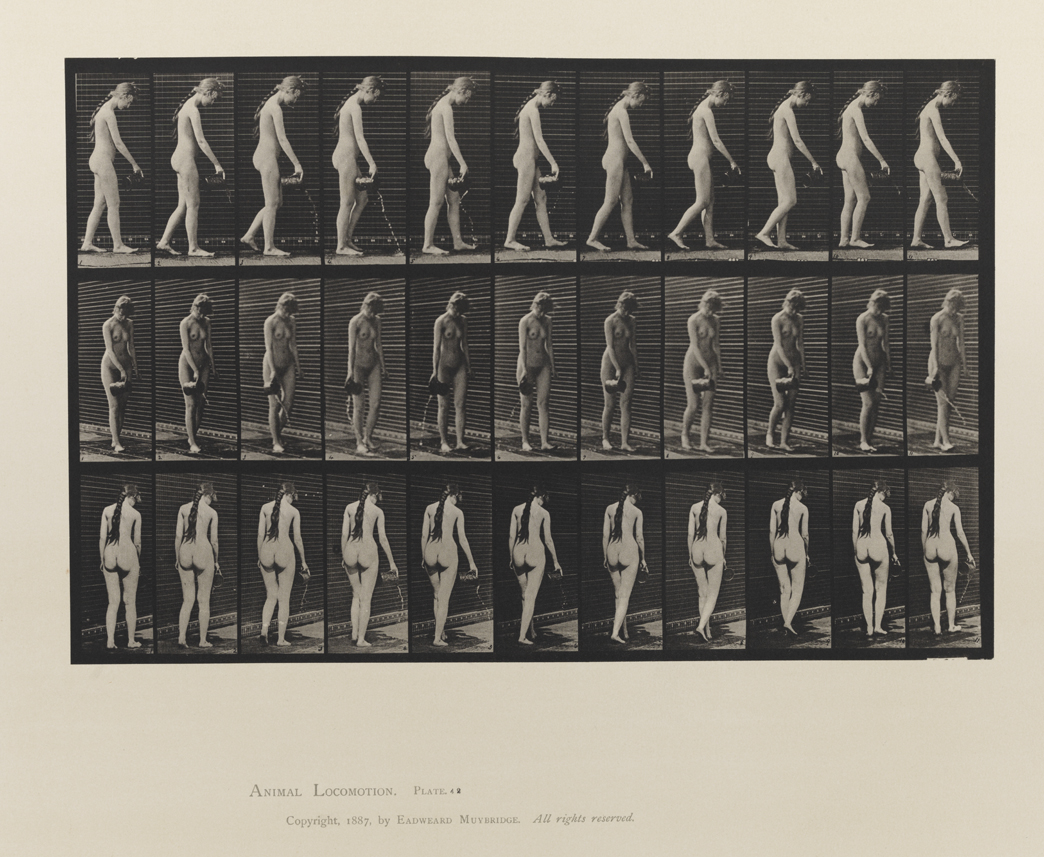 Animal Locomotion, Volume III, Women (Nude). Plate 42