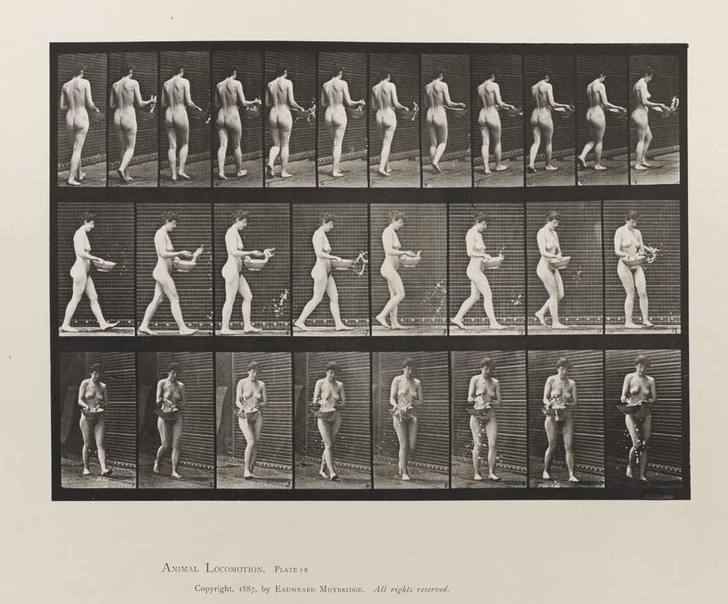 Animal Locomotion, Volume III, Women (Nude). Plate 43