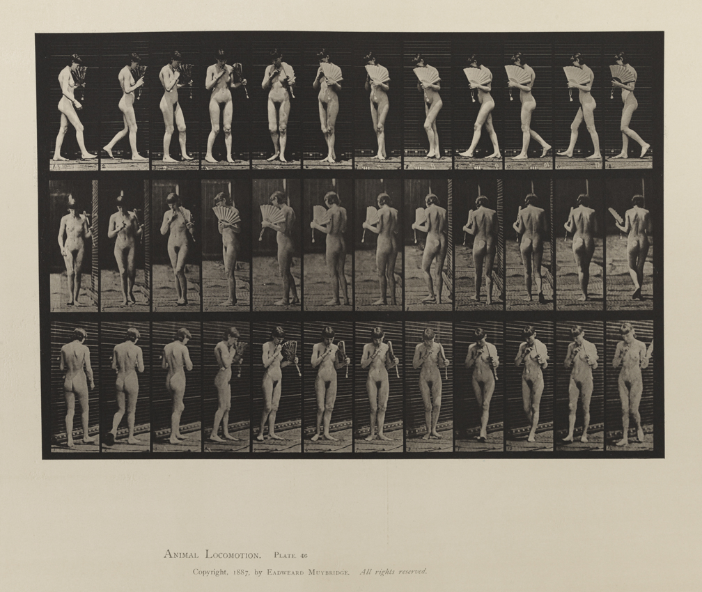 Animal Locomotion, Volume III, Women (Nude). Plate 46