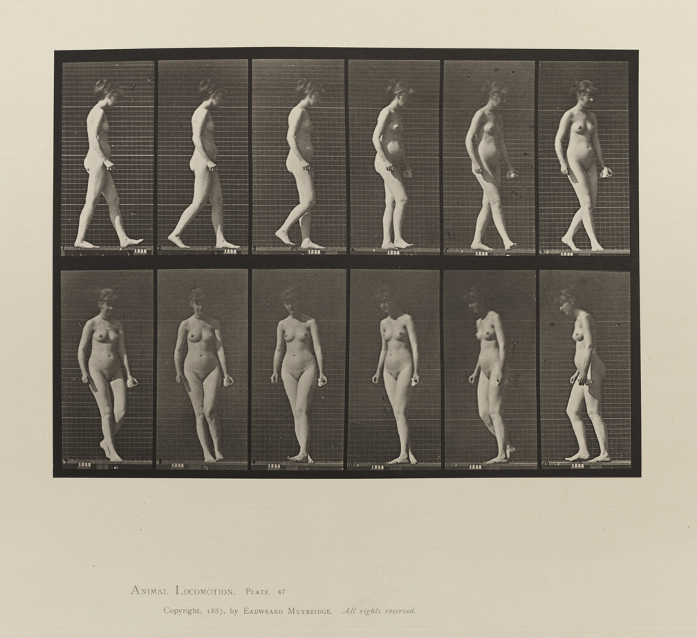 Animal Locomotion, Volume III, Women (Nude). Plate 47