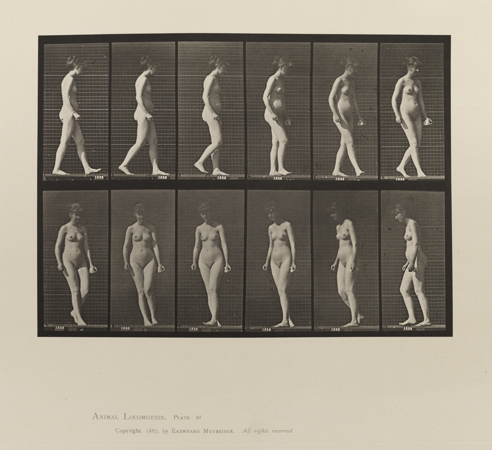 Animal Locomotion, Volume III, Women (Nude). Plate 47