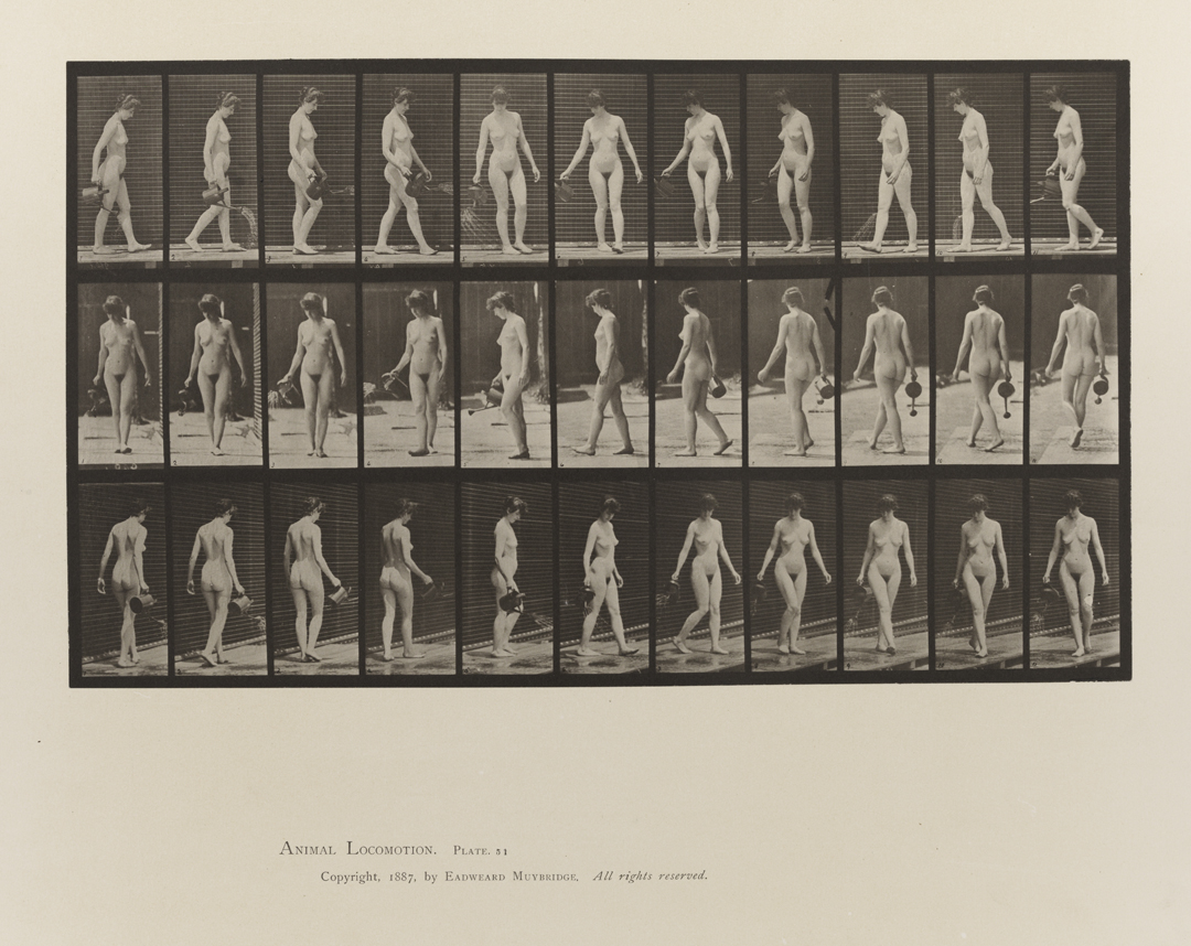 Animal Locomotion, Volume III, Women (Nude). Plate 51