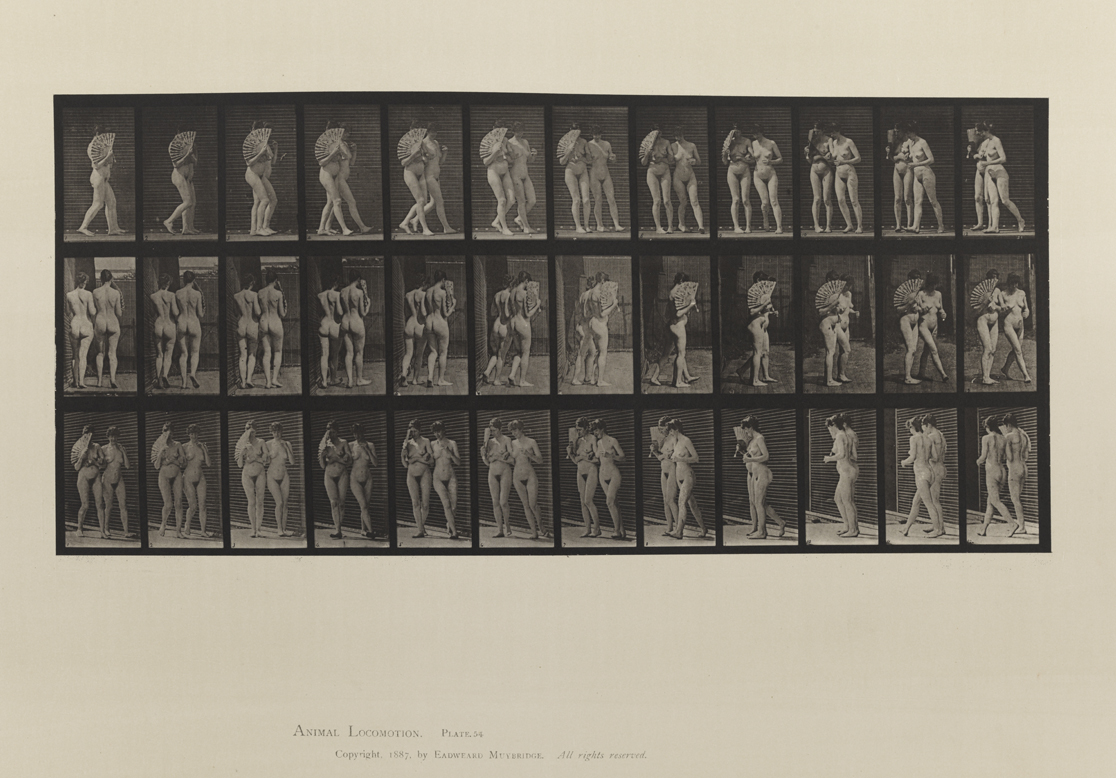 Animal Locomotion, Volume III, Women (Nude). Plate 54