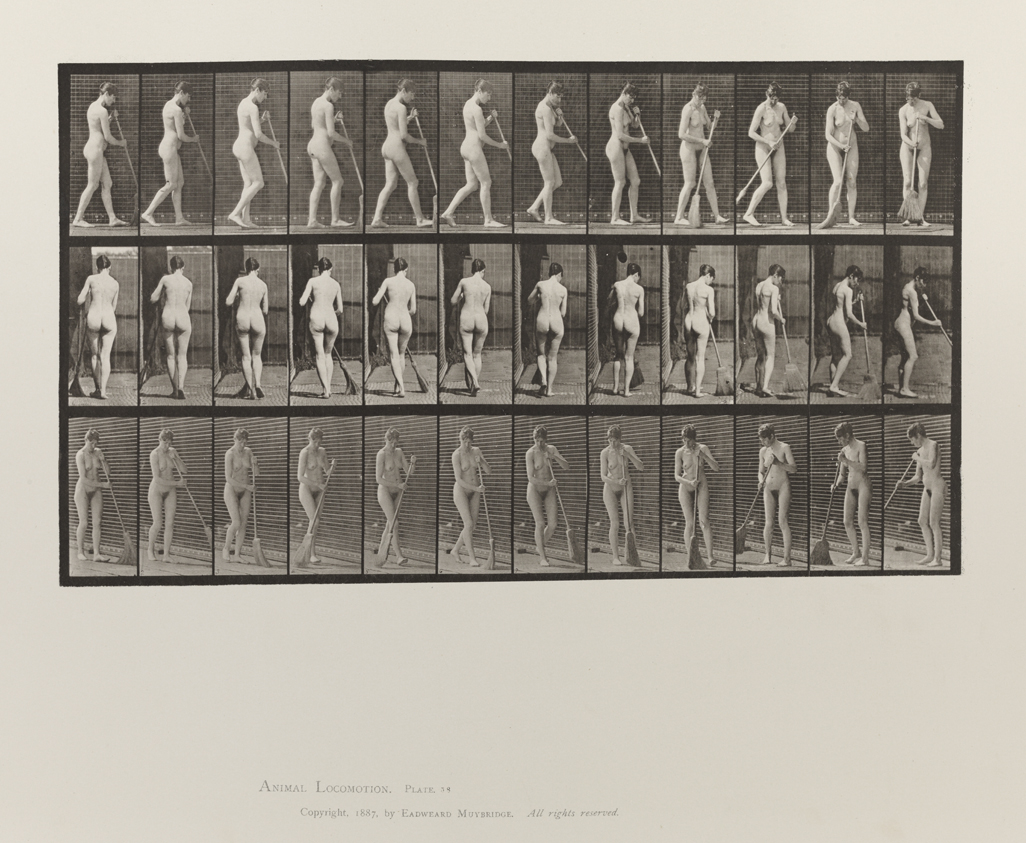Animal Locomotion, Volume III, Women (Nude). Plate 58