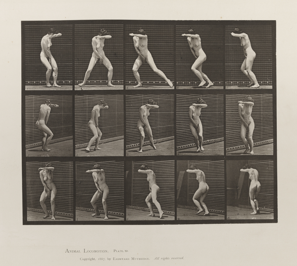 Animal Locomotion, Volume III, Women (Nude). Plate 73