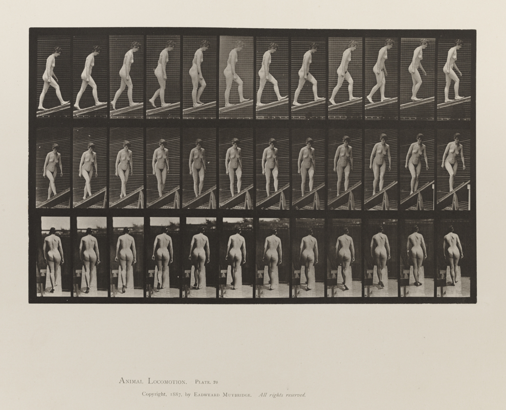 Animal Locomotion, Volume III, Women (Nude). Plate 76
