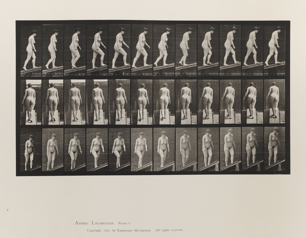 Animal Locomotion, Volume III, Women (Nude). Plate 77
