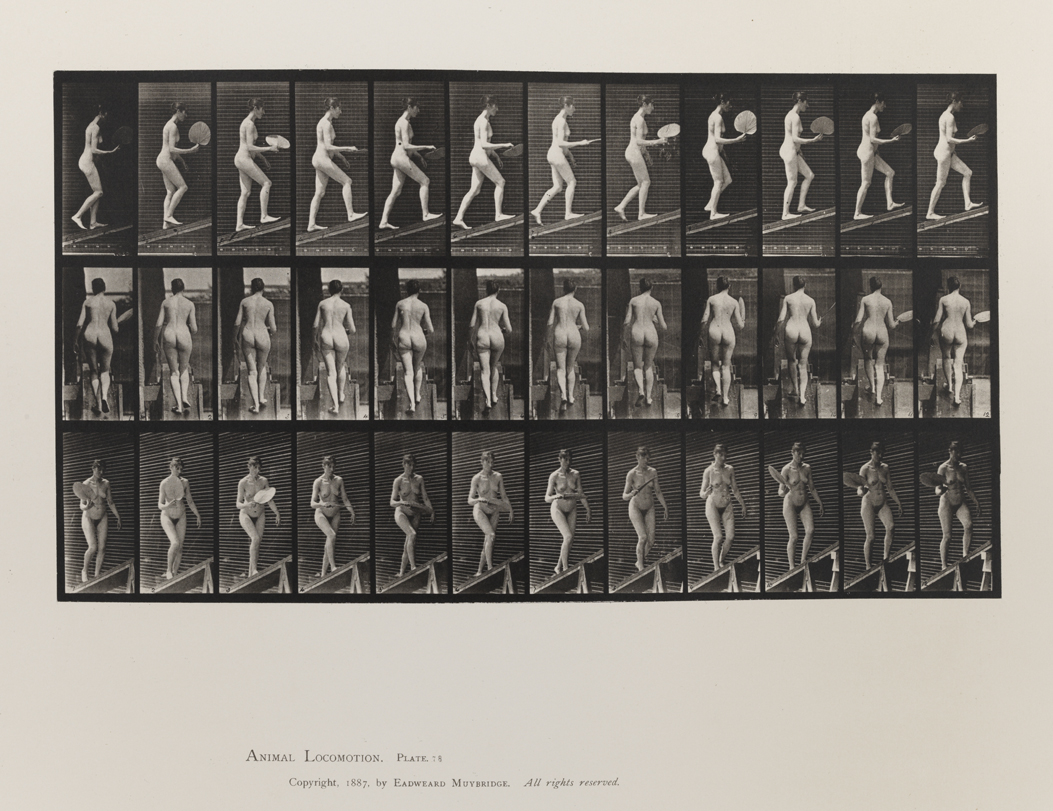 Animal Locomotion, Volume III, Women (Nude). Plate 78