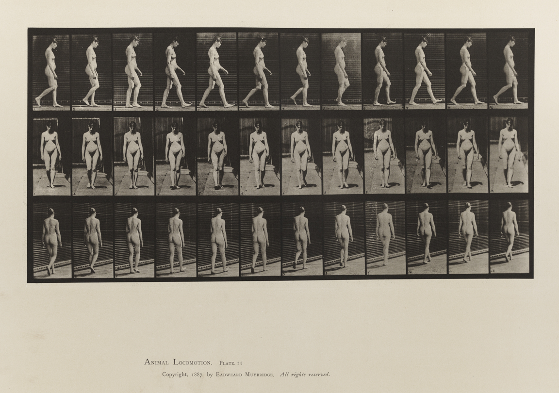 Animal Locomotion, Volume III, Women (Nude). Plate 13
