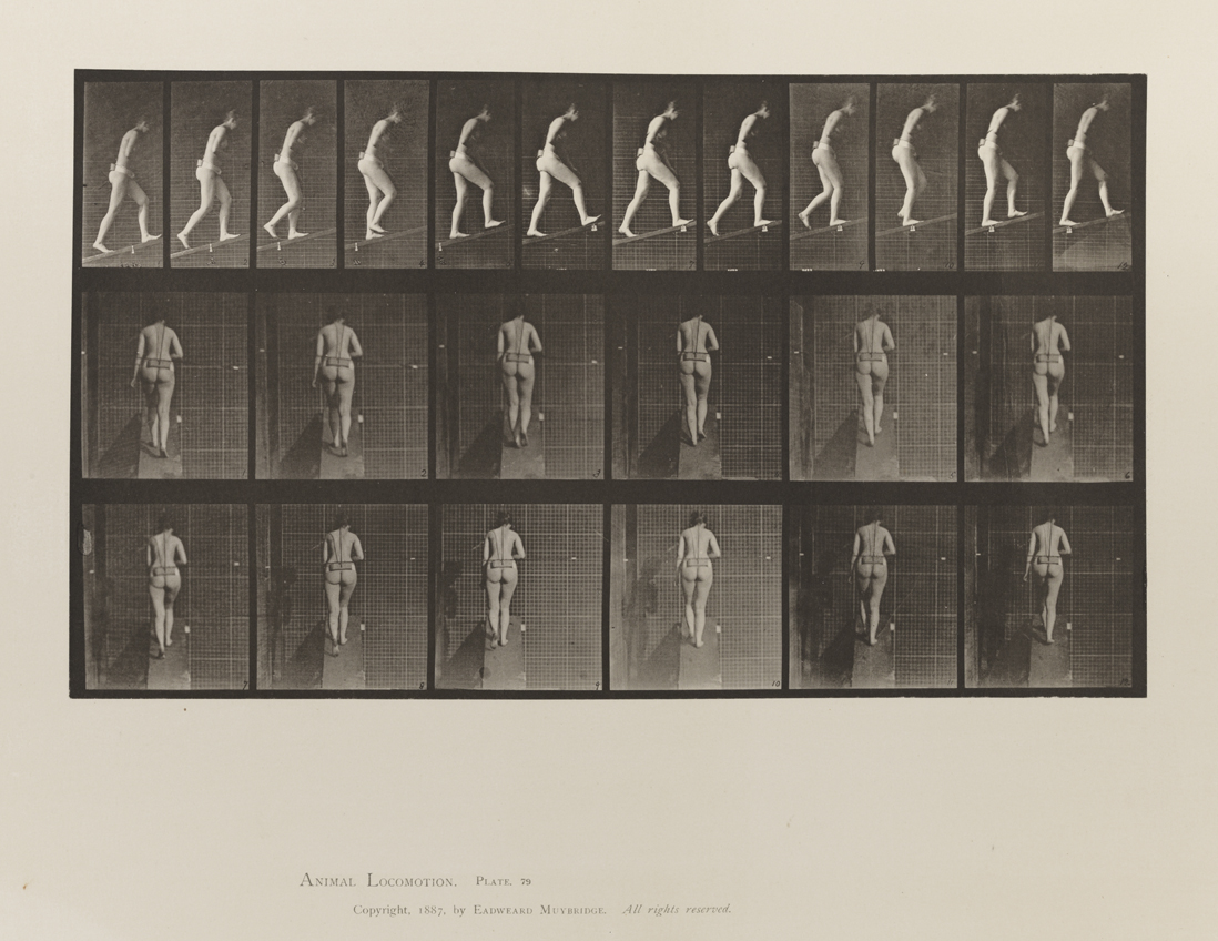 Animal Locomotion, Volume III, Women (Nude). Plate 79