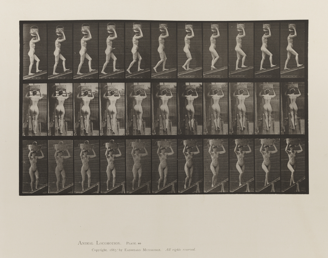 Animal Locomotion, Volume III, Women (Nude). Plate 80