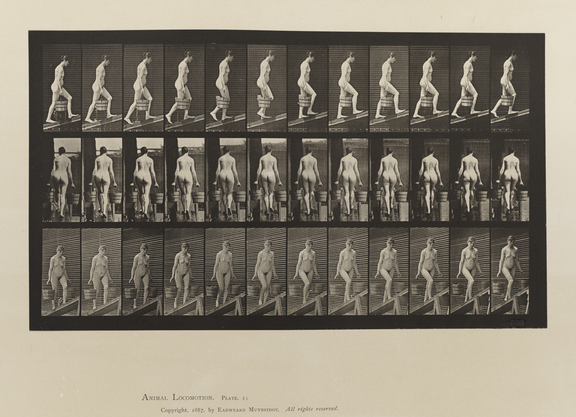 Animal Locomotion, Volume III, Women (Nude). Plate 81