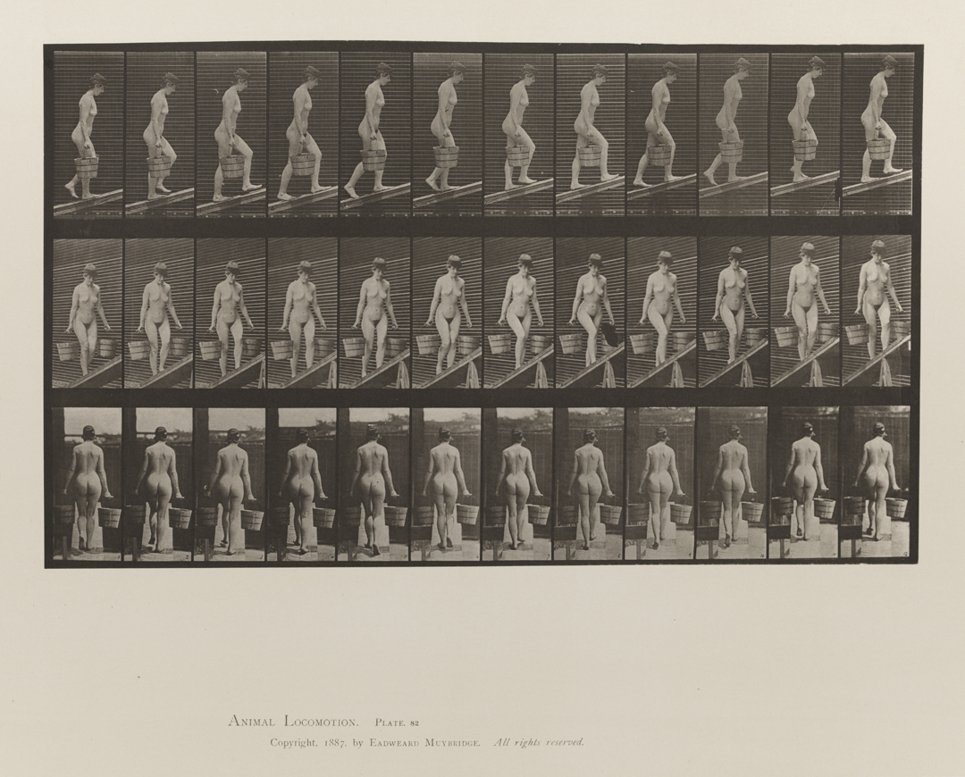 Animal Locomotion, Volume III, Women (Nude). Plate 82
