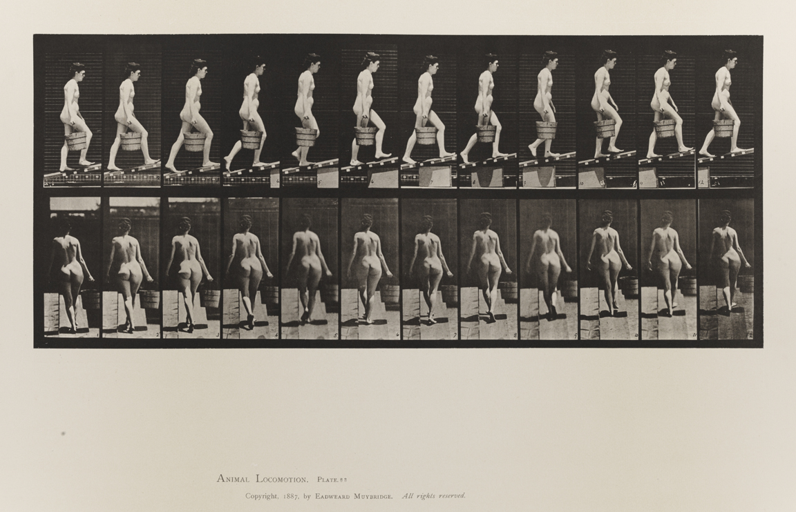 Animal Locomotion, Volume III, Women (Nude). Plate 83