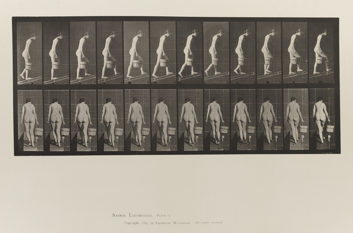 Animal Locomotion, Volume III, Women (Nude). Plate 84