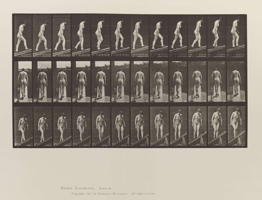 Animal Locomotion, Volume III, Women (Nude). Plate 85