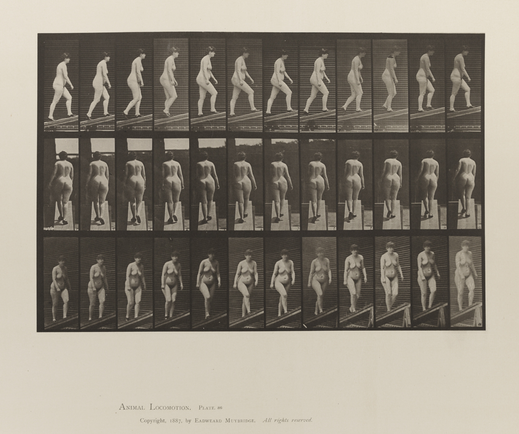 Animal Locomotion, Volume III, Women (Nude). Plate 86