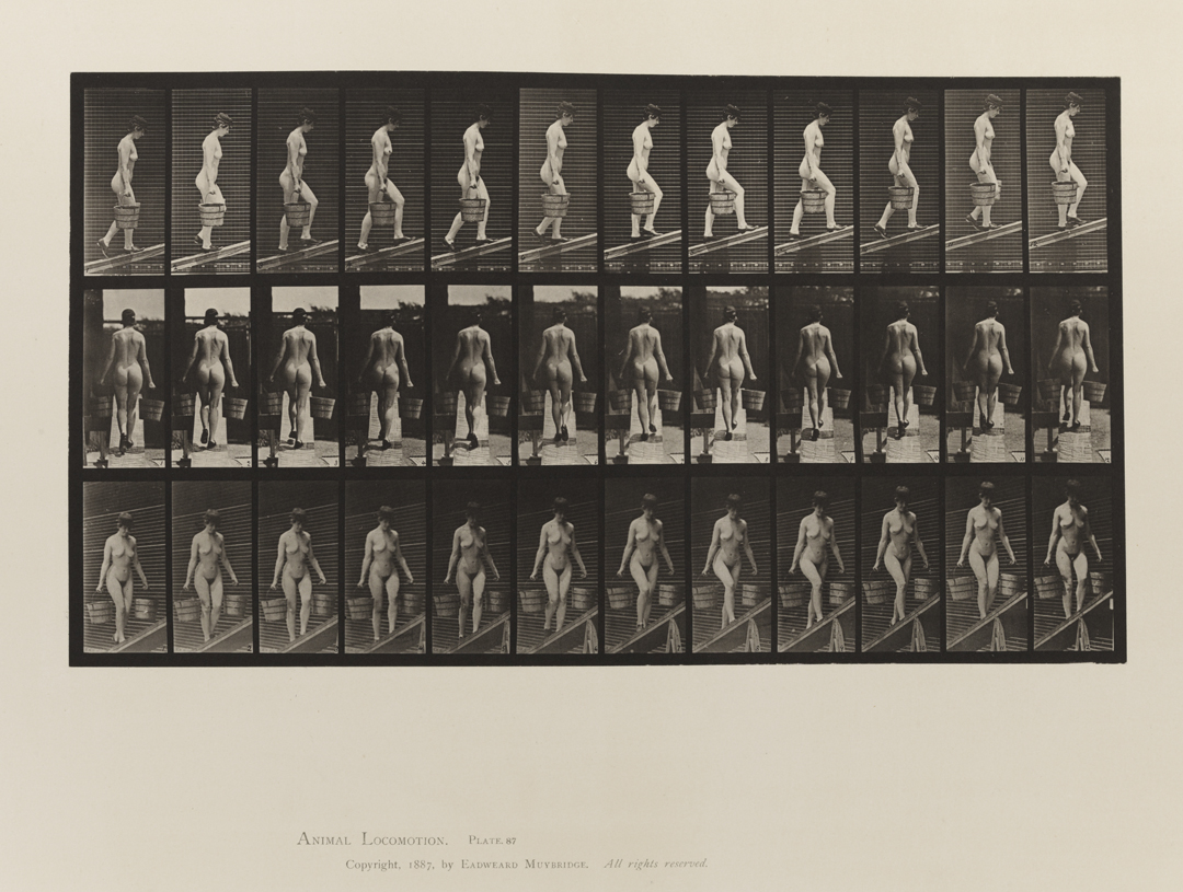 Animal Locomotion, Volume III, Women (Nude). Plate 87